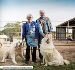 local-flavor-oct-2016-photo-lee-and-sandy-with-dogs