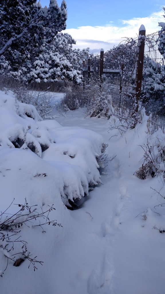 A walk through gardens to barn